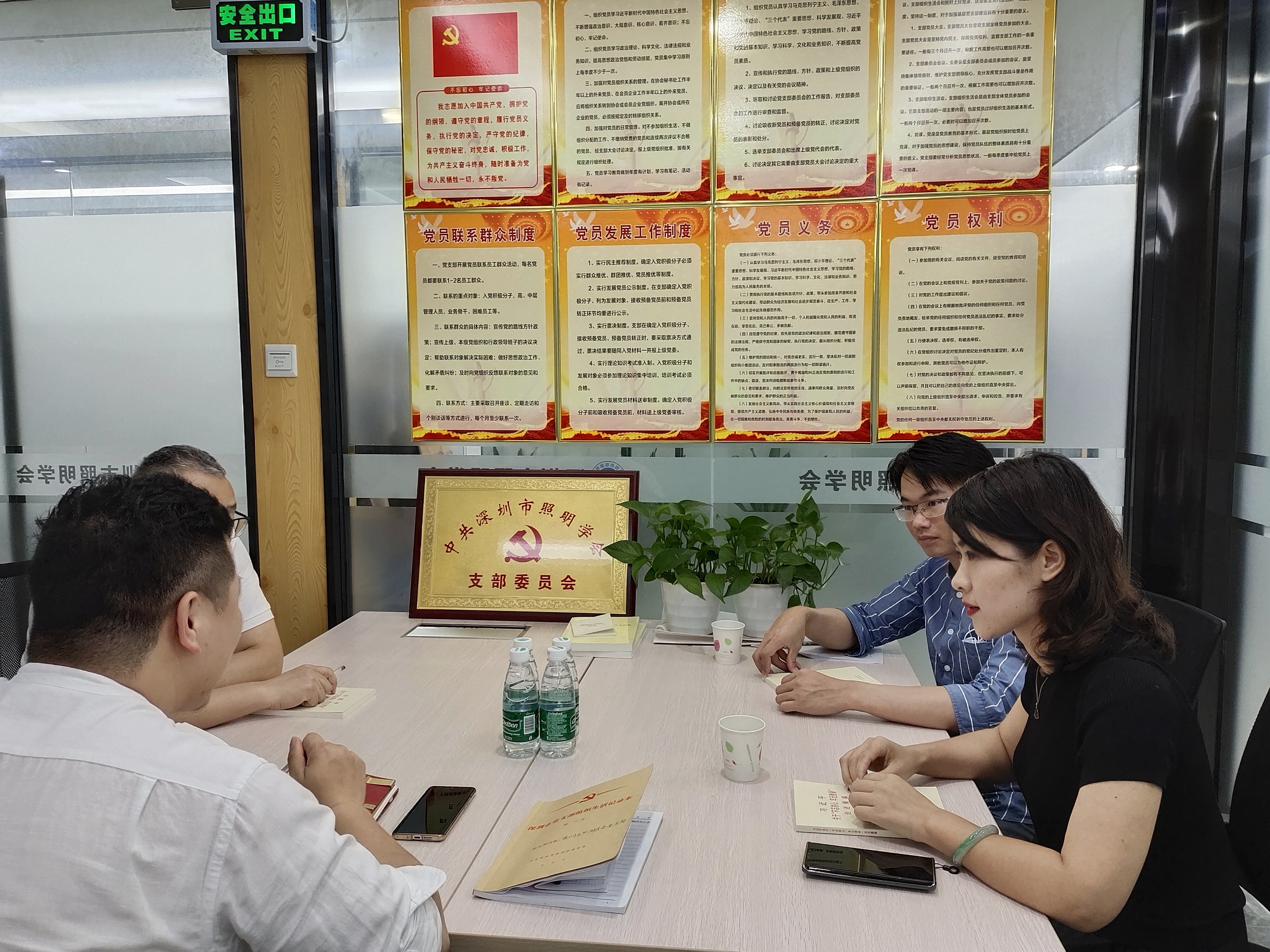 深圳市照明學(xué)會黨支部黨員會議
